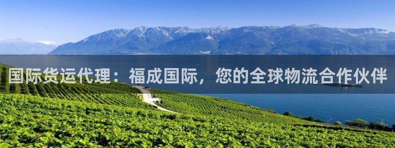 尊龙游戏官方网：国际货运代理：福成国际，您的全球物流合作