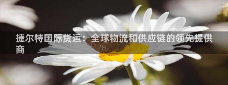 尊龙app登录不了：捷尔特国际货运：全球物流和供应链的领