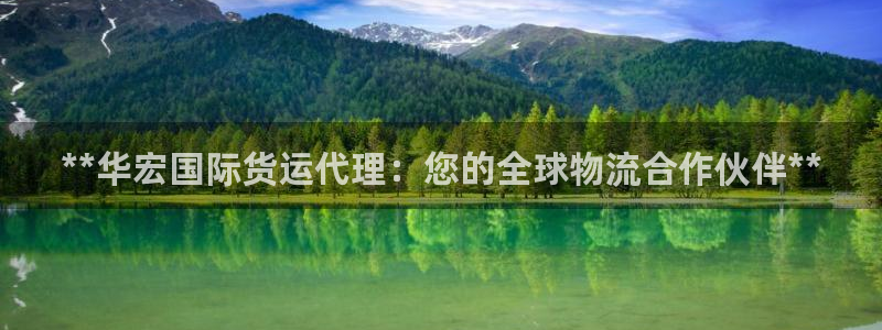 尊龙凯时人生就博官网：**华宏国际货运代理：您的全球物流