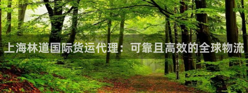尊龙手机版：上海林道国际货运代理：可靠且高效的全球物流