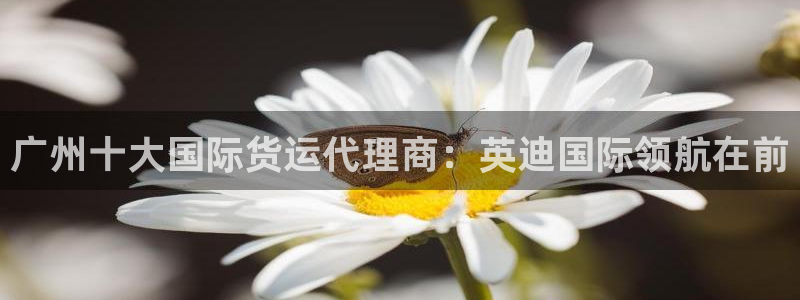 尊龙官方：广州十大国际货运代理商：英迪国际领航在前