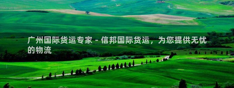 ag尊龙怎么样：广州国际货运专家 - 信邦国际货运，为您
