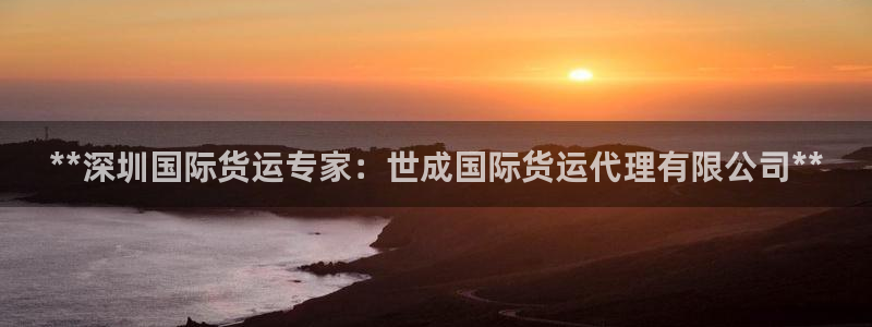 尊龙网平台：**深圳国际货运专家：世成国际货运代理有限公