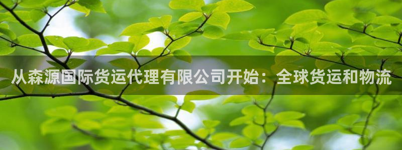 尊龙凯时-人生就是博中国官网最新：从森源国际货运代理有限