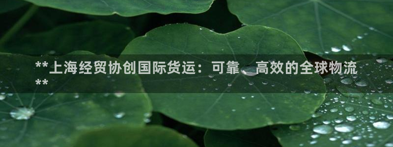 尊龙凯时人生就博官网：**上海经贸协创国际货运：可靠、高