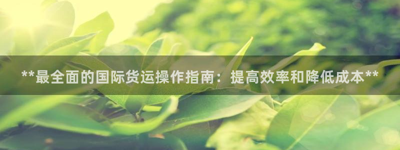 尊龙人生就是博l：**最全面的国际货运操作指南：提高效率