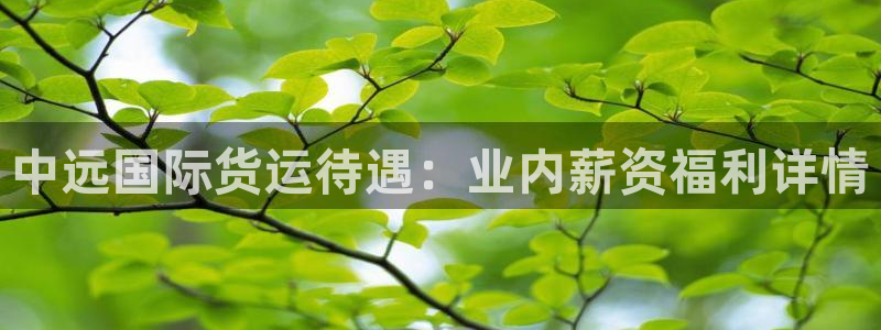 ag旗舰平台尊龙代言：中远国际货运待遇：业内薪资福利详情