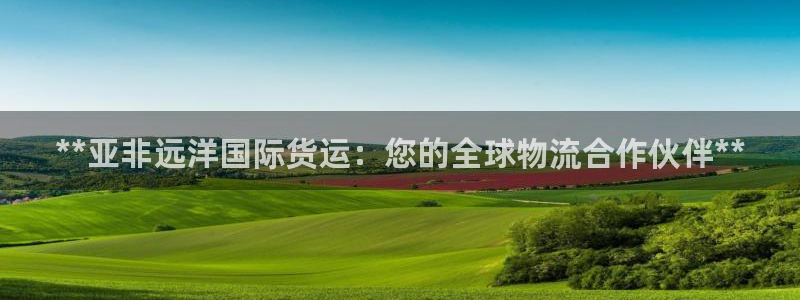 尊龙凯时ag旗舰厅官网客服：**亚非远洋国际货运：您的全
