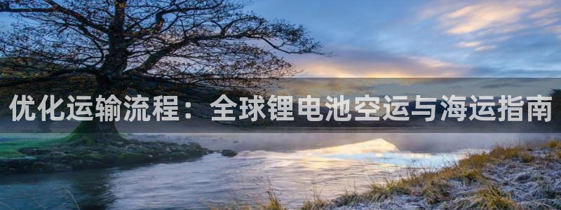 尊龙d88平台版下载：优化运输流程：全球锂电池空运与海运