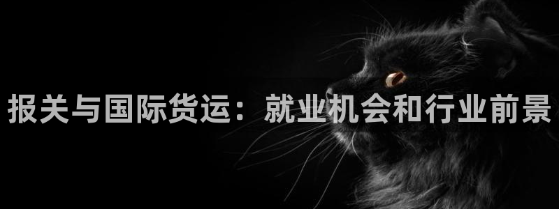 尊龙凯时电竞注册：报关与国际货运：就业机会和行业前景