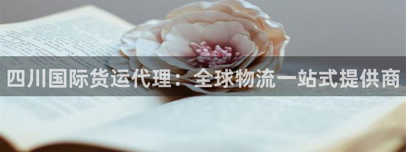 尊龙凯时 - 人生就是搏有假吗：四川国际货运代理：全球物
