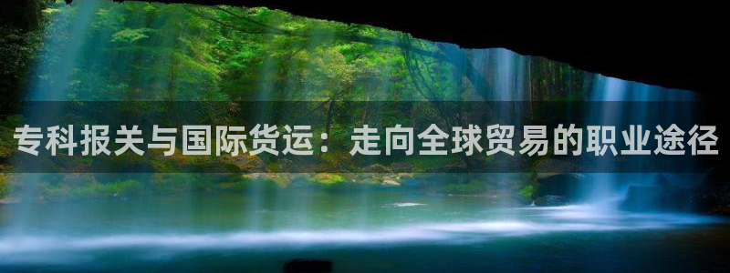 尊龙凯时几百万怎么下款：专科报关与国际货运：走向全球贸易