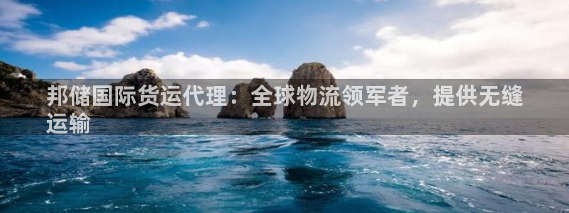 尊龙手机客户端app：邦储国际货运代理：全球物流领军者，