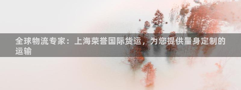 尊龙d88手机app免费下载：全球物流专家：上海荣誉国际