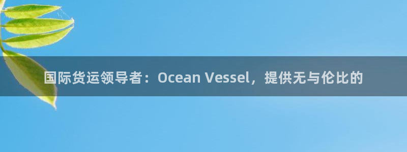 尊龙集团有限公司地址：国际货运领导者：Ocean Ves