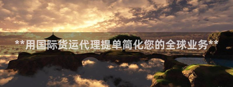 尊龙凯时几百万怎么下款：**用国际货运代理提单简化您的全
