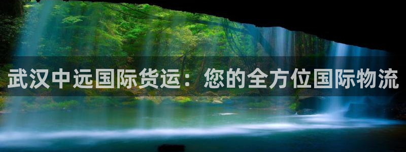 尊龙注册码：武汉中远国际货运：您的全方位国际物流