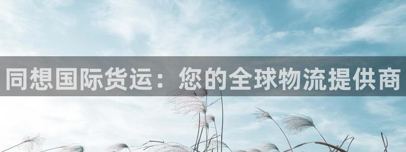 尊龙/人生就是博：同想国际货运：您的全球物流提供商