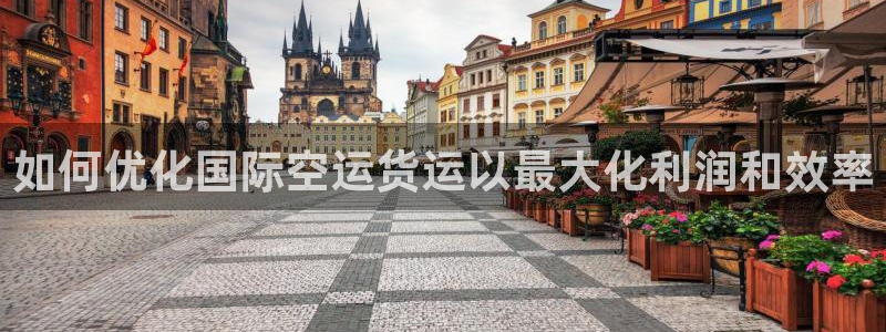 尊龙电子：如何优化国际空运货运以最大化利润和效率