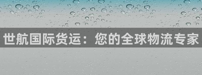 尊龙官网APP下载：世航国际货运：您的全球物流专家