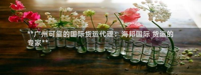 尊龙凯时能做退米么：**广州可靠的国际货运代理：海邦国际