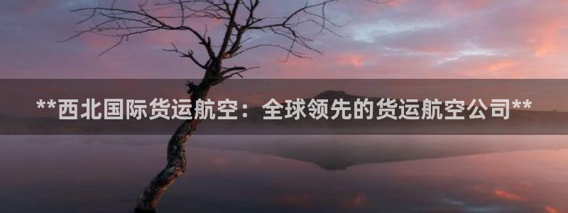 尊龙凯时 人生就是搏：**西北国际货运航空：全球领先的货