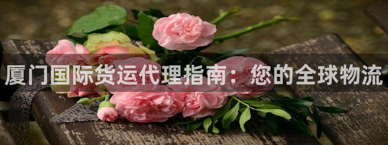 尊龙凯时提款冻卡吗：厦门国际货运代理指南：您的全球物流