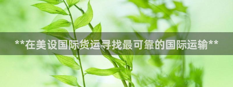 尊龙官网在哪里：**在美设国际货运寻找最可靠的国际运输*