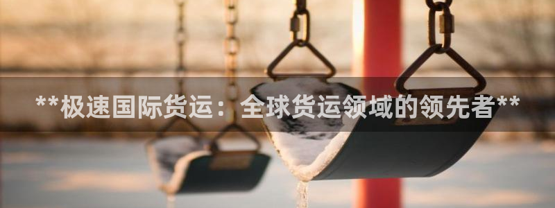 尊龙ag旗舰厅登录 租车app下载：**极速国际货运：全