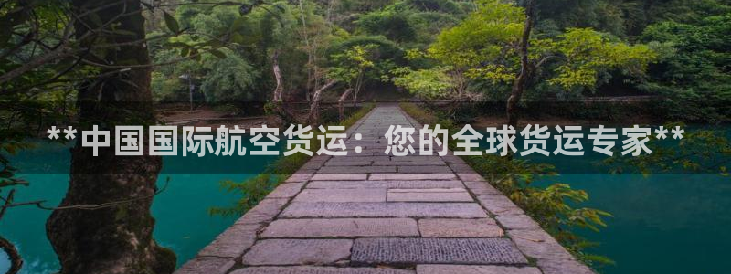 尊龙人生就是博菲律宾台子：**中国国际航空货运：您的全球