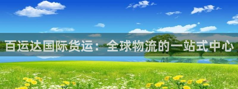 尊龙人生就是博登陆：百运达国际货运：全球物流的一站式中心