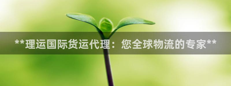 尊龙体育电竞官网：**理运国际货运代理：您全球物流的专家