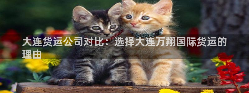 尊龙凯时城娱乐：大连货运公司对比：选择大连万翔国际货运的