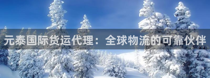 尊龙凯时为什么不封：元泰国际货运代理：全球物流的可靠伙伴