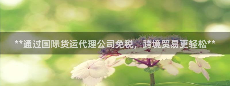 尊龙人生就是博登录首页：**通过国际货运代理公司免税，跨