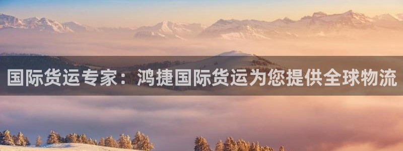 尊龙凯时充十万返现多少：国际货运专家：鸿捷国际货运为您提
