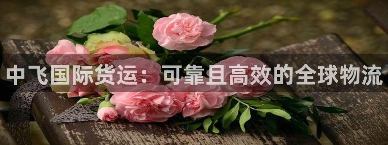 尊龙手机版：中飞国际货运：可靠且高效的全球物流