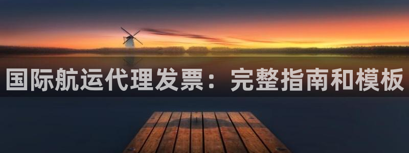 尊龙t300和t400哪个好：国际航运代理发票：完整指南