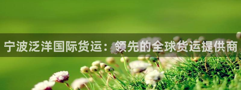 尊龙凯时推荐人：宁波泛洋国际货运：领先的全球货运提供商