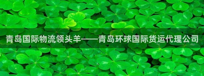 尊龙凯时官网入口：青岛国际物流领头羊——青岛环球国际货运