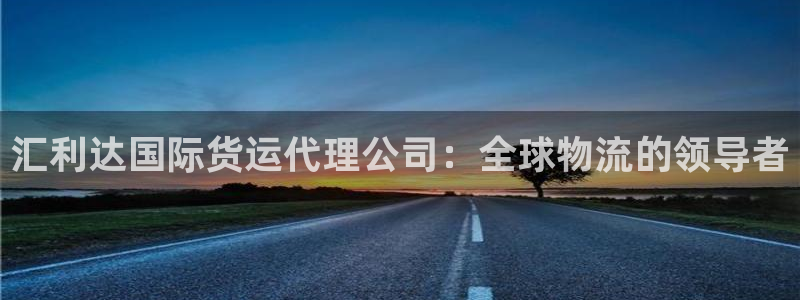 尊龙凯时代理官网入口：汇利达国际货运代理公司：全球物流的