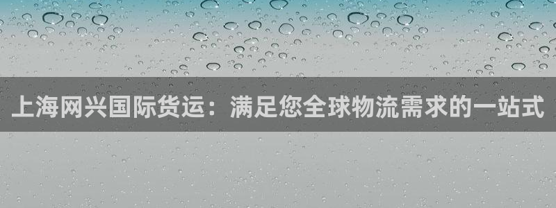 尊龙凯时官方下载：上海网兴国际货运：满足您全球物流需求的
