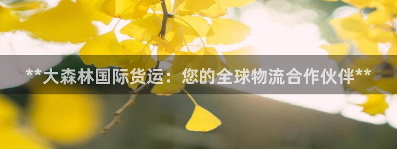 尊龙凯时充值不到账：**大森林国际货运：您的全球物流合作