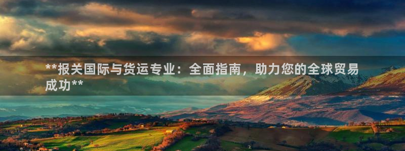 尊龙 中国：**报关国际与货运专业：全面指南，助力您的全
