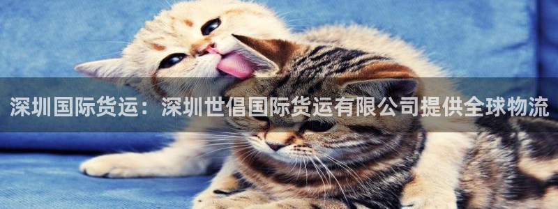尊龙凯时官网首页：深圳国际货运：深圳世倡国际货运有限公司