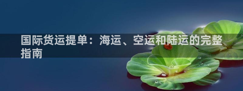 尊龙ag旗舰：国际货运提单：海运、空运和陆运的完整
指南