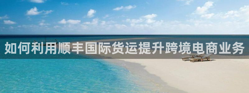 尊龙官方网站首页：如何利用顺丰国际货运提升跨境电商业务