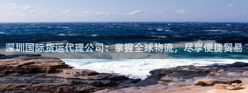 尊龙凯时ag旗舰厅登陆：深圳国际货运代理公司：掌握全球物