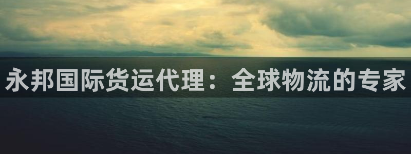 尊龙t500和t300区别：永邦国际货运代理：全球物流的