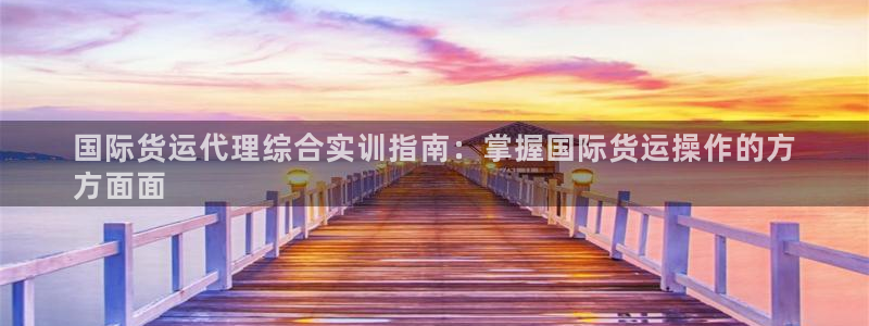 尊龙凯时线下赌场：国际货运代理综合实训指南：掌握国际货运